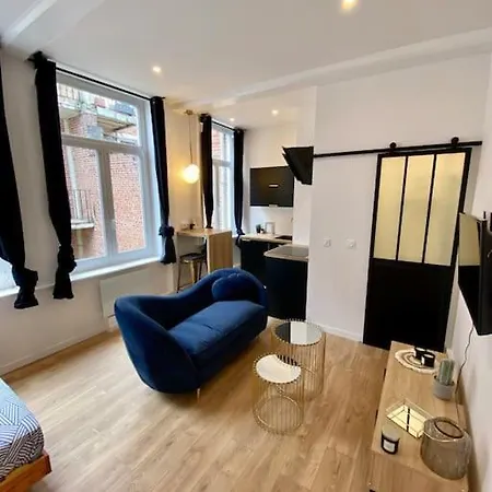 Hypercentre - Proximite Gares * Rijsel